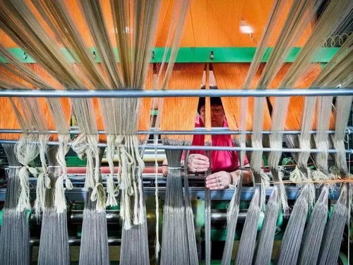 美國出口管制清單新增14類技術，特種紡織品貿易面臨新挑戰